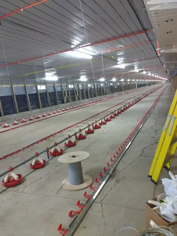 Agrosuper: pabellón de criaderos de pollos — vista principal